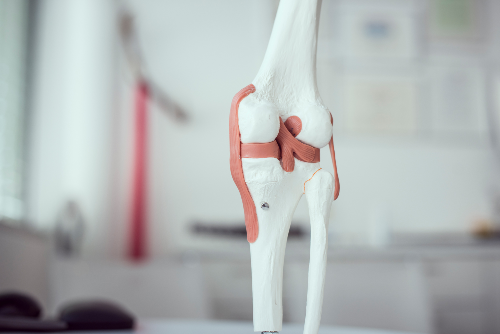 Knie - GELENKpunkt